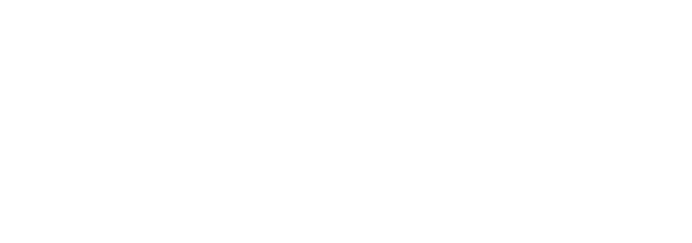 V-Key Logo_White_Hor_wo_tagline